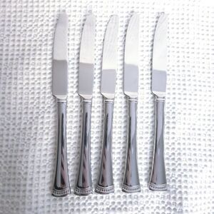 5 LENOX 18/10 STAINLESS Steel‎ DINNER KNIVES  9 1/8 " PORTOLA Flatware Lot of 5